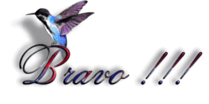 bravo