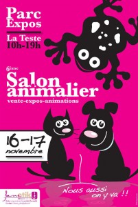 AFFICHE SALON 2013