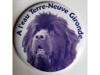 Magnets A L'EAU TERRE NEUVE GIRONDE