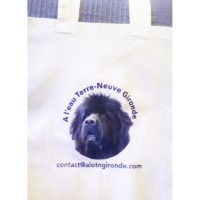 Sacs de plage alotngironde