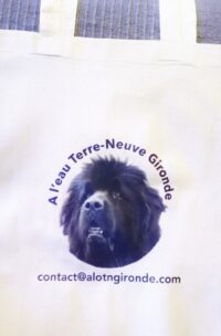 Sacs de plage alotngironde