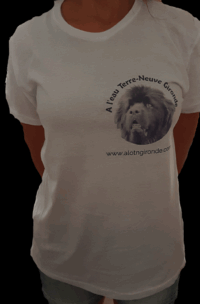 T-shirt imprimé alotngironde