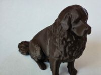 Terre-Neuve imprimé 3D